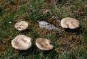 2013-04-14 Rando Assier--37