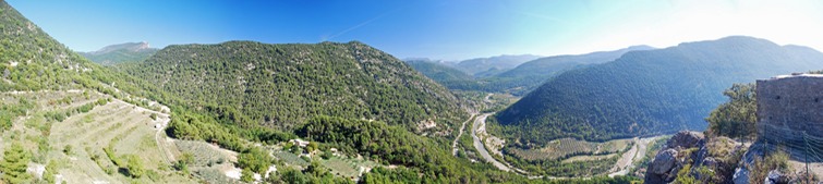 Panorama jaune ameliore