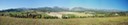 Panorama jaune ameliore