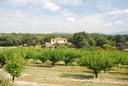 Rando autour de Grignan-14