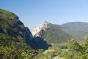 Rando foret de Saou-07