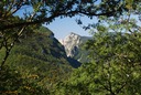 Rando foret de Saou-20