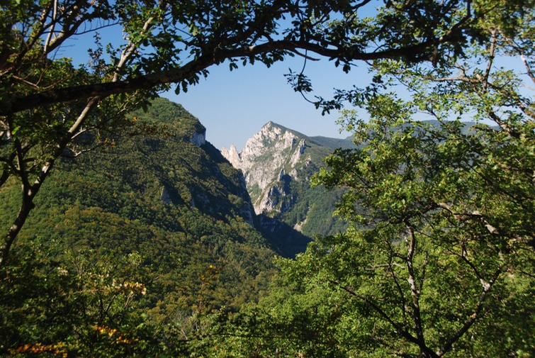 Rando foret de Saou-20