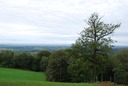 Rando Lacapelle Oct 2012--13
