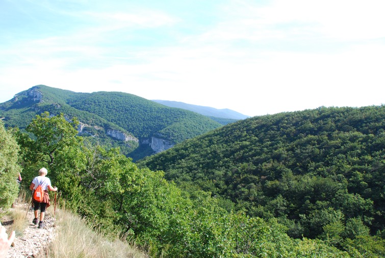 Rando Serre de Forillon-34