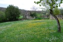 Rando St Pierre Toirac 21 avril--22-prairie au printemps