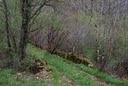 Rando St Pierre Toirac 21 avril--09