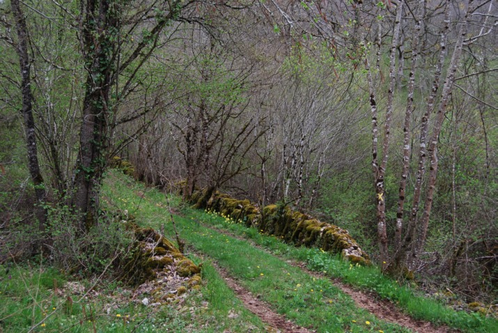 Rando St Pierre Toirac 21 avril--09