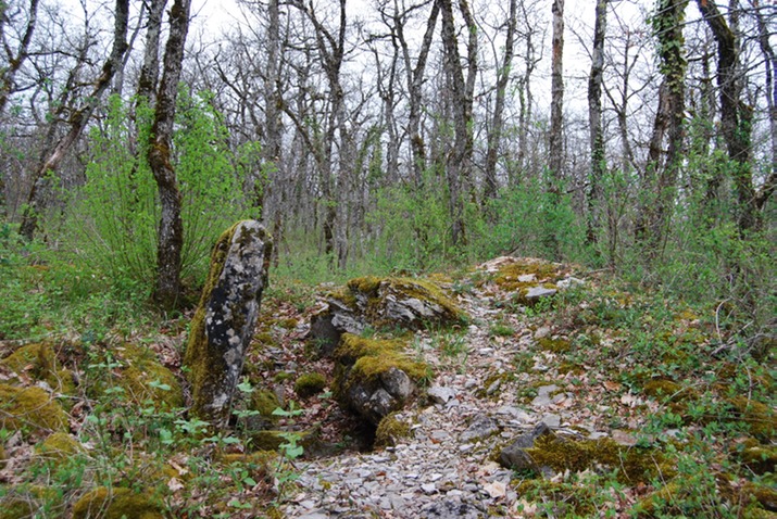 Rando St Pierre Toirac 21 avril--07-Dolmen